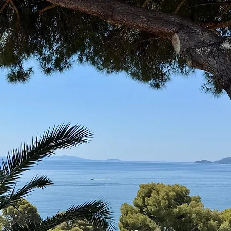 Piccolina Aiguebelle Lavandou Face Aux Iles * ル・ラヴァンドゥー