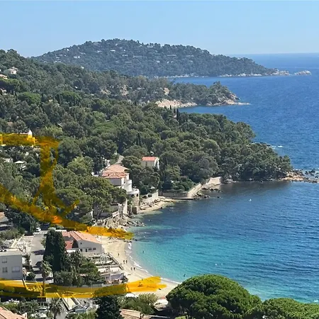 Piccolina Aiguebelle Lavandou Face Aux Iles ル・ラヴァンドゥー