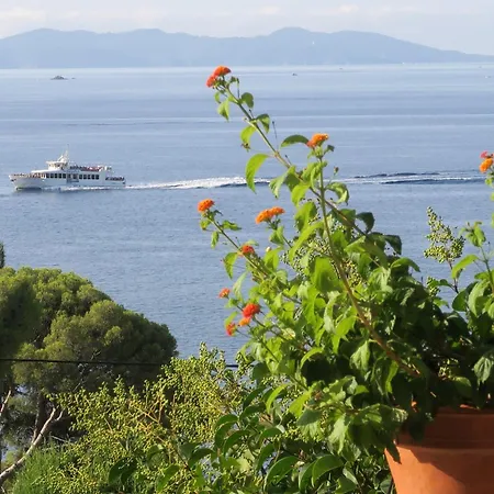 Piccolina Aiguebelle Lavandou Face Aux Iles ヴィラ